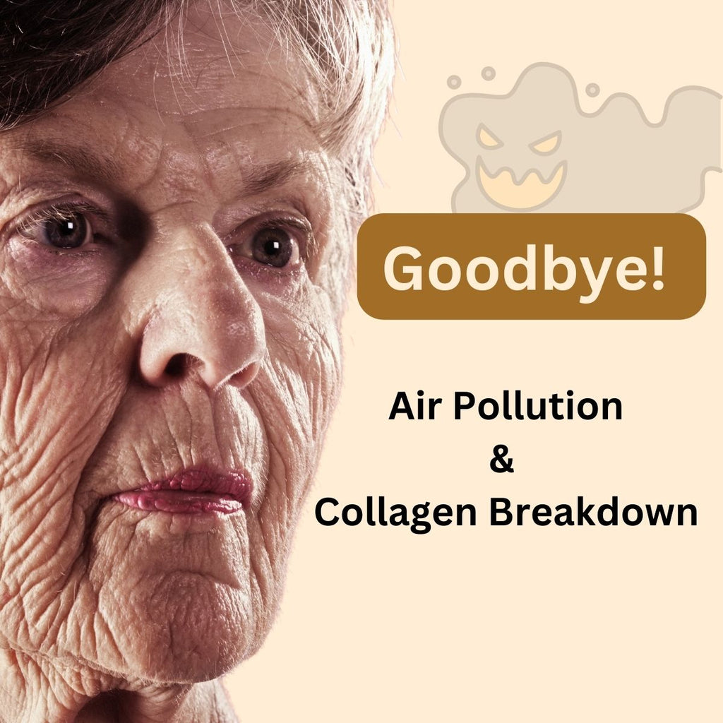 The Surprising Risks of Air Pollution and Collagen Breakdown