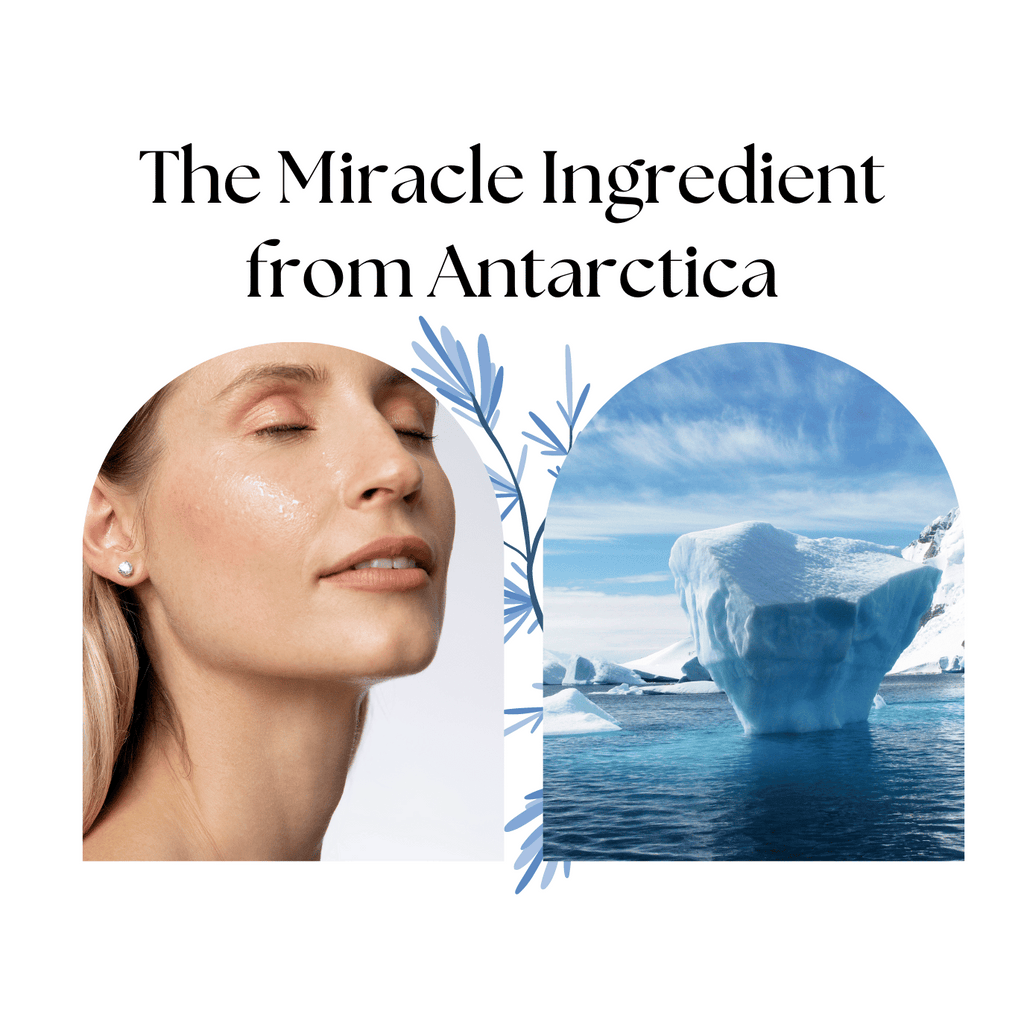 The miracle Anti-Ageing Ingredient from Antarctica