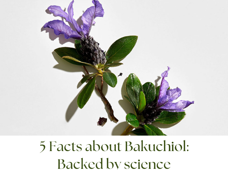5 Facts About Bakuchiol: Backed by Science