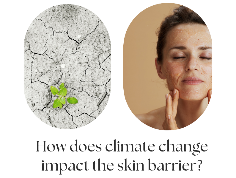 How Does Climate Change Impact the Skin Barrier?